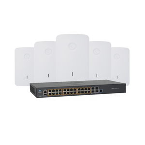 Kit Wi-Fi Empresarial de 5 Access Point e425H y un switch PoE EX2028P